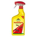 NEUDORFF - Loxiran AF AmeisenSpray 750ml - Ameisengift Spray Ameisen Bekämpfung