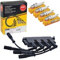NGK ZÜNDSPULE mit KABEL+ZÜNDKERZEN passend für 1.2+1.4 FIAT PUNTO 199 EVO PANDA