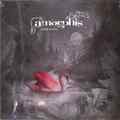 Amorphis / SILENT WATERS (2LP) / Atomic Fire Records / 425198170042 / 2LP