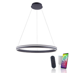 LED Pendellampe anthrazit dimmbar 79 cm Fernbedienung Smart Home Smarthome