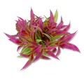 Aquarium Wasserpflanzen Kunststoff Aquarien Pflanzen Kunst Pflanze 10 cm