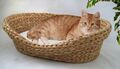 Silvio Design Bett aus Wasserhyazinthe klein Katzenbett Hundebett
