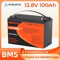 12V 100Ah LiFePO4 Lithium Batterie Solarbatterie Solar Boot Akku BMS Wohnmobil 