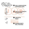 IAP QUALITY PARTS Distanzscheibe Kurbelwelle 106-11070 für FORD Ranger (ET)