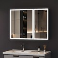 Spiegelschrank 60x80cm 50x70cm 3-stufig dimmbar Antibeschlag Steckdose Metall