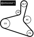 Continental CTAM 6DPK1195K1 Keilrippenriemensatz Keilriemen Satz 