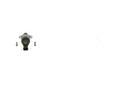 BOSCH 1 462 C00 983 Regelventil, Kraftstoffmenge (Common-Rail-System)