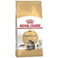 Royal Canin Maine Coon | 4kg Katzenfutter trocken