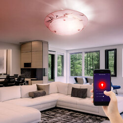 Flurleuchte Deckenlampe Leuchte Smart LED dimmbar CCT App Blumenmuster Glas RGB