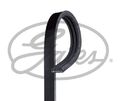 Keilrippenriemen Gates 3PK675 für AUTOBIANCHI FORD HYUNDAI KIA LANCIA