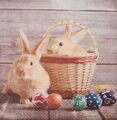4 Servietten Zwei Kaninchen im Korb bunte Eier Hasen Ostern
