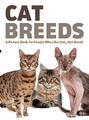 Katzenrassen: Ein Bilderbuch für Menschen, die Katzen mögen, keine Worte (
