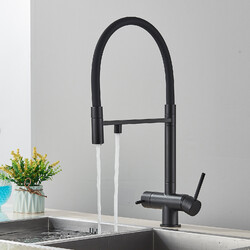Küchenarmatur 3 in 1 Ausziehbar Trinkwasserhahn Wasserfilter Wasserhahn 2 Griff