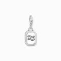THOMAS SABO Charm Anhänger Sternzeichen Wassermann Sterlingsilber 2143-643-21