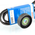 BOSCH 6DPK1195 Keilrippenriemen + Rolle für AUDI A3 SEAT SKODA VW GOLF