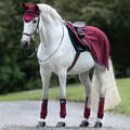 Horseware Ireland Small Burgundy/Burgundy, Teal & Navy Ausreitdecke Rambo