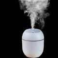 Luftbefeuchter Vernebler Aroma Diffuser Diffusor Humidifier Nachtlicht UVP 14,95