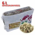 6L Für Sphagnum Moisturizing Moss Organic Fertilizer Orchideen Phalaenopsi Moos