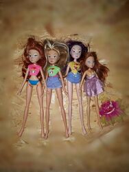 Winx Club I Love My Pet Simba Mattel biker doll TLC lot Roxy Bloom Flora dolls