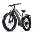 EBike 26 Zoll Elektrofahrrad 1000W Fette Reifen E-Mountainbike 48V 20AH Citybike