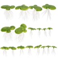  18 Pcs Aquarium Zubehoer Aquariumdekorationen Pflanzen Plastikwasserpflanzen