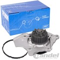 1x SKF WASSERPUMPE für AUDI A1 8X A3 8V A4 B8 A5 8T A6 C7 VW PASSAT GOLF 7