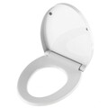 WC Sitz mit Absenkautomatik - Premium Toilettendeckel Deckel Klodeckel Klobrille