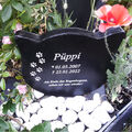 Tier-Grabstein Katze Gedenkstein Haustier personalisiert 20 x 22cm versch Motive