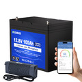 12V 100Ah LiFePO4 Bluetooth Lithium Batterie 100A BMS mit 10A Batterieladegerät
