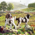 Otter House 74132 Macneil Studio Spaniels On The Moor 1000 Teile Puzzle