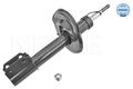 MEYLE 16-26 623 0027 Stoßdämpfer für DACIA