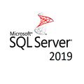 Microsoft SQL Server Standard 2019 Runtime IoT OEI 5 User COA & DVD