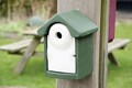 Nistkasten Holzbeton grün/weiß LxBxH  16,5x18,5x25 cm  Nistkasten