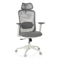 Bürostuhl ergonomisch Kopfstütze Netz Drehstuhl Schreibtischstuhl hjh OFFICE