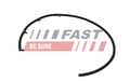 Schlauch Leckkraftstoff FAST FT00254 für BMW 3er E90 Touring E91 1er E87 118 120