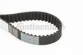 CONTINENTAL CTAM CT1131 Zahnriemen für AUDI PORSCHE VW