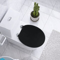 WC Sitz toilettendeckel Holz Klobrille mit absenkautomatik bambus Toilettensitz