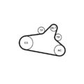 1x Keilrippenriemensatz CONTINENTAL CTAM 6PK1020 EXTRA K1 passend für CITROËN