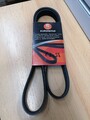 Keilrippenriemen Erorepar 6PK1224 Kia Peugeot Citroën Fiat Hyundai