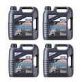LIQUI MOLY Motoröl Motorbike 4T, 10W-40 Street, 16-Liter-Kanister - Art.Nr. 1243