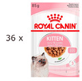 (EUR 16,98/kg) Royal Canin Kitten in Soße Nassfutter für Katzenwelpen 36 x 85 g
