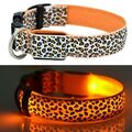 Hunde Leucht-Halsband leuchtend beleuchtet blinkend Leopard