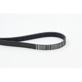Keilrippenriemen Continental Ctam 6PK1019 ELAST für Ford