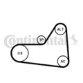 CONTINENTAL CTAM Keilrippenriemensatz für AUDI SEAT SKODA VW