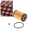 ASHIKA ÖLFILTER FILTEREINSATZ passend für AUDI A1 A3 A4 A5 A6 Q2 Q3 Q5 TT MAN