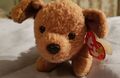 Ty - Beanie Babys - Tuffy der Terrier Hund - mit Etikett, im Ruhestand 