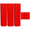 Schwarzkopf Igora Royal 3 x 60 ml 5-1 hellbraun asch Haarfarbe Cremefarbe Set
