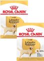 (EUR 7,68 / kg)  Royal Canin Labrador Retriever Adult Hundefutter 2 x 3 kg
