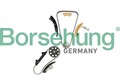 Steuerketten Satz für Audi VW Seat TT Roadster A3 Borsehung B18846 1999 - 2010