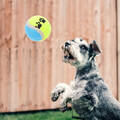  16 Pcs Quietschende Interaktive Hundespielzeuge Bissfester Hundeball